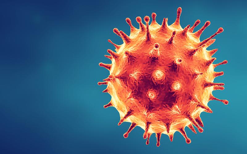 EVOLUCIÓN DEL CORONAVIRUS SARS-CoV-2